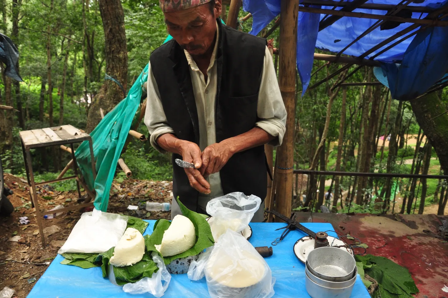 A vendor in a forest clearing cutting khuwa dairy sweets on a blue tarpaulin table